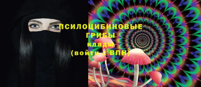 mega вход  Сим  Галлюциногенные грибы Psilocybe  что такое  